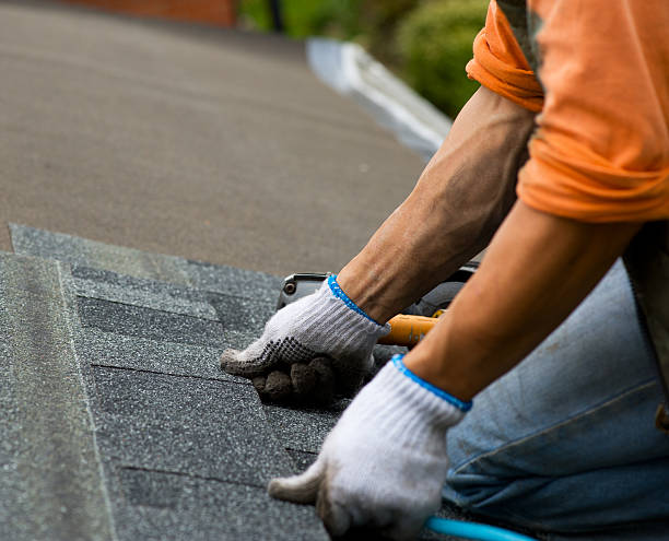 Trusted Plainfield, IL Roofing Contractor Experts
