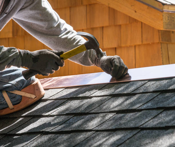 Best Storm Damage Roof Repair  in Plainfield, IL